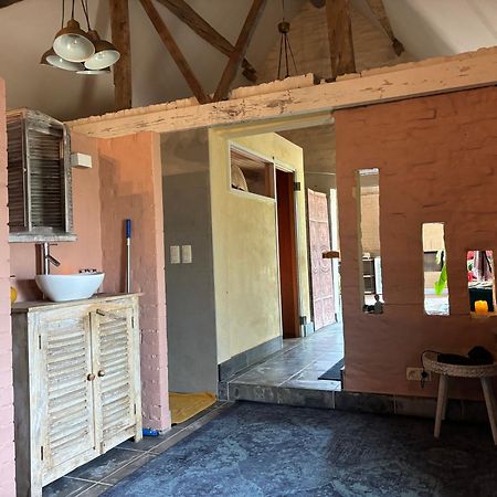 Hamiora Wellness B&B Deinze Zewnętrze zdjęcie