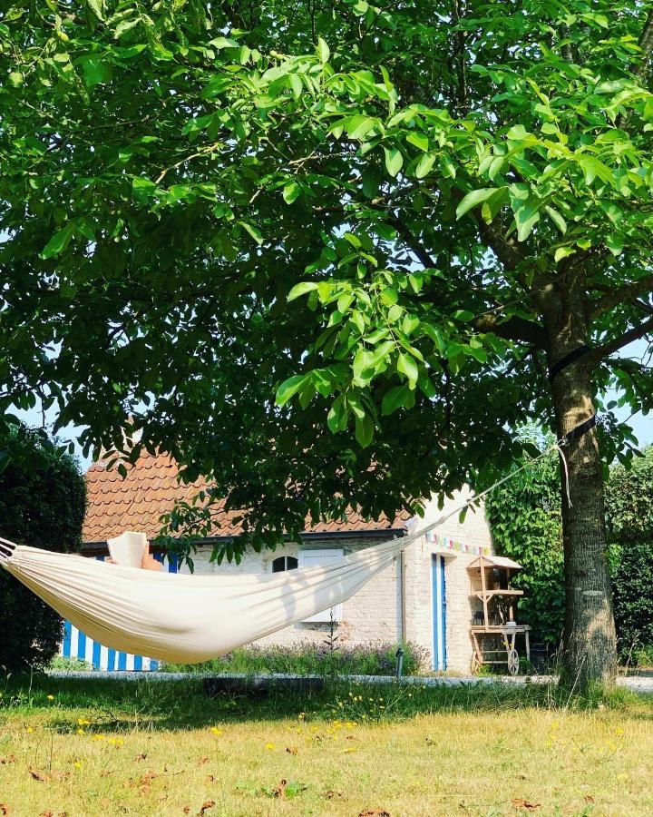 Hamiora Wellness B&B Deinze Zewnętrze zdjęcie