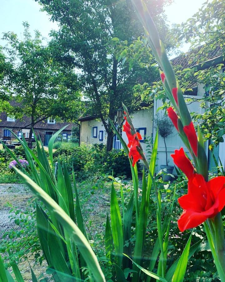 Hamiora Wellness B&B Deinze Zewnętrze zdjęcie