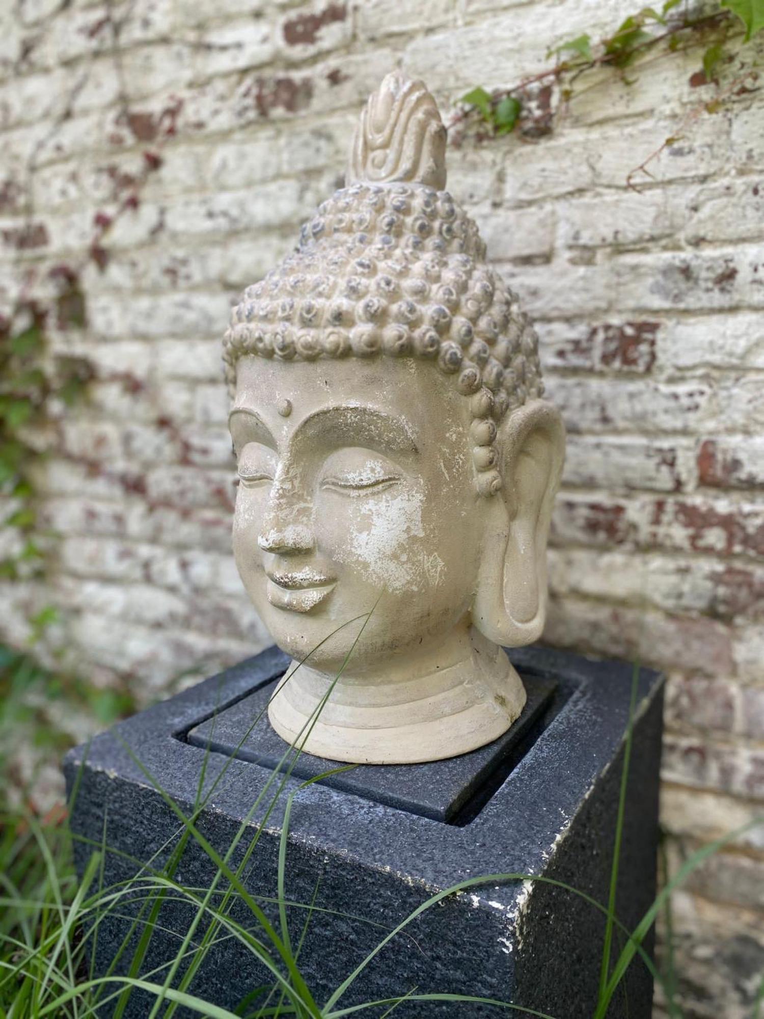 Hamiora Wellness B&B Deinze Zewnętrze zdjęcie