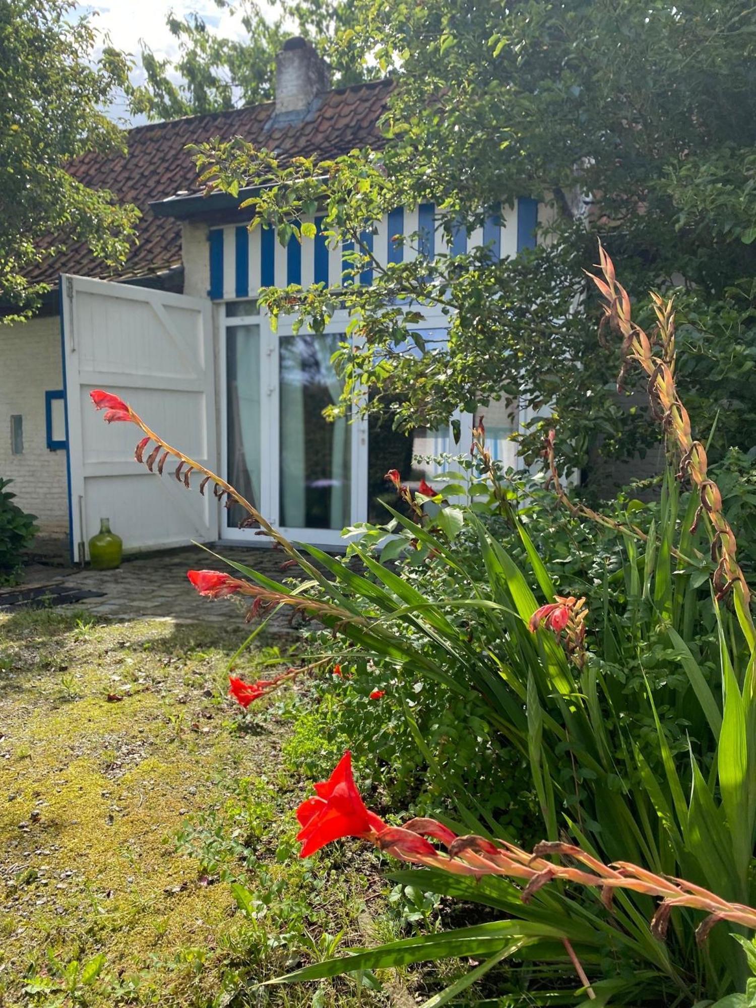 Hamiora Wellness B&B Deinze Zewnętrze zdjęcie