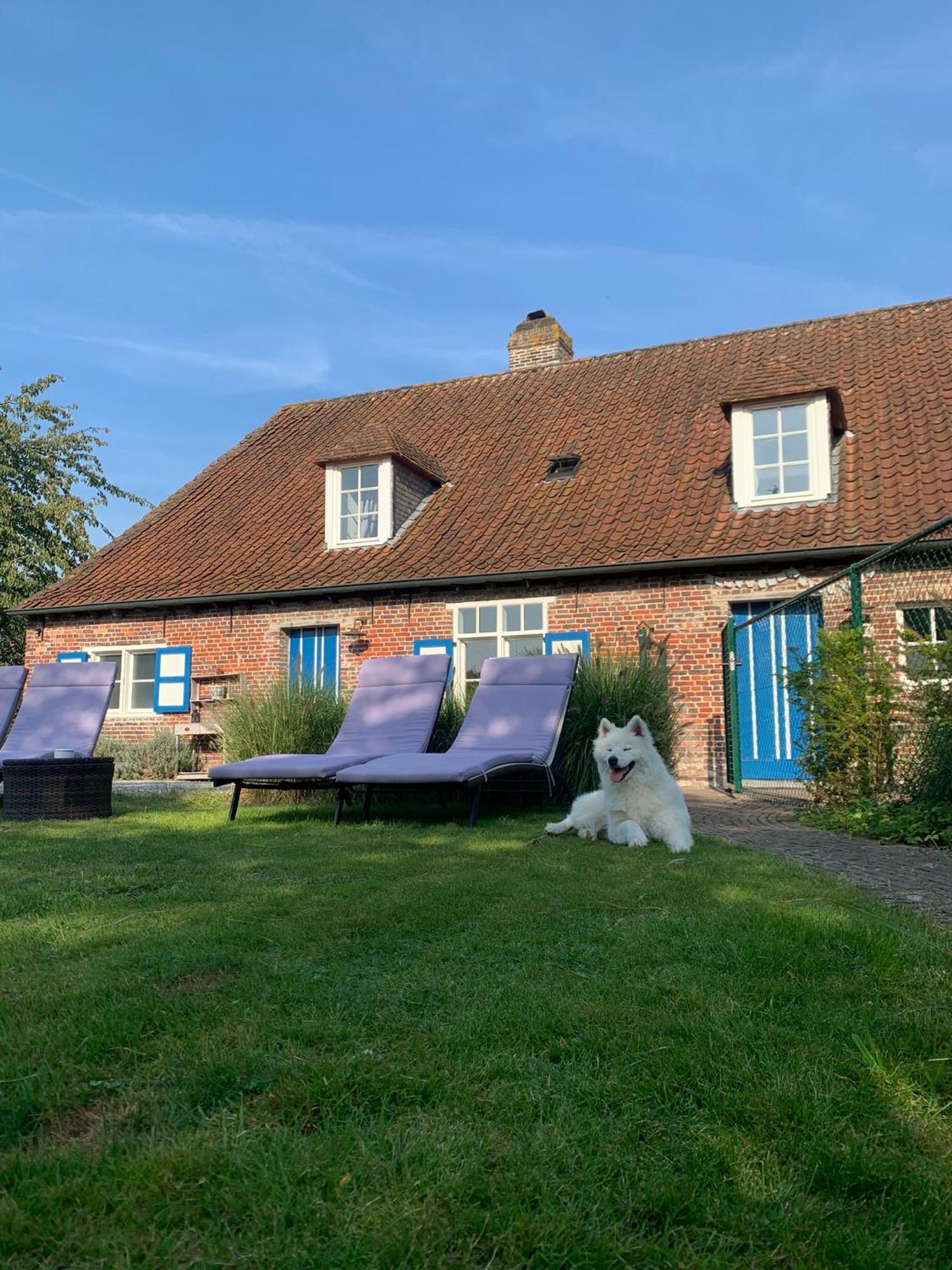 Hamiora Wellness B&B Deinze Zewnętrze zdjęcie